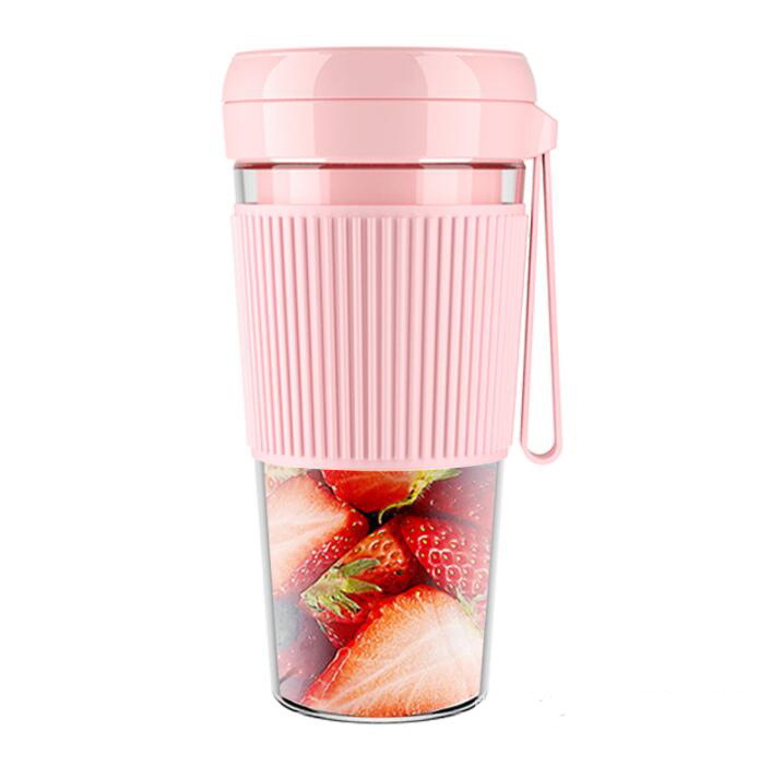 EC0041-G Fruit Blender